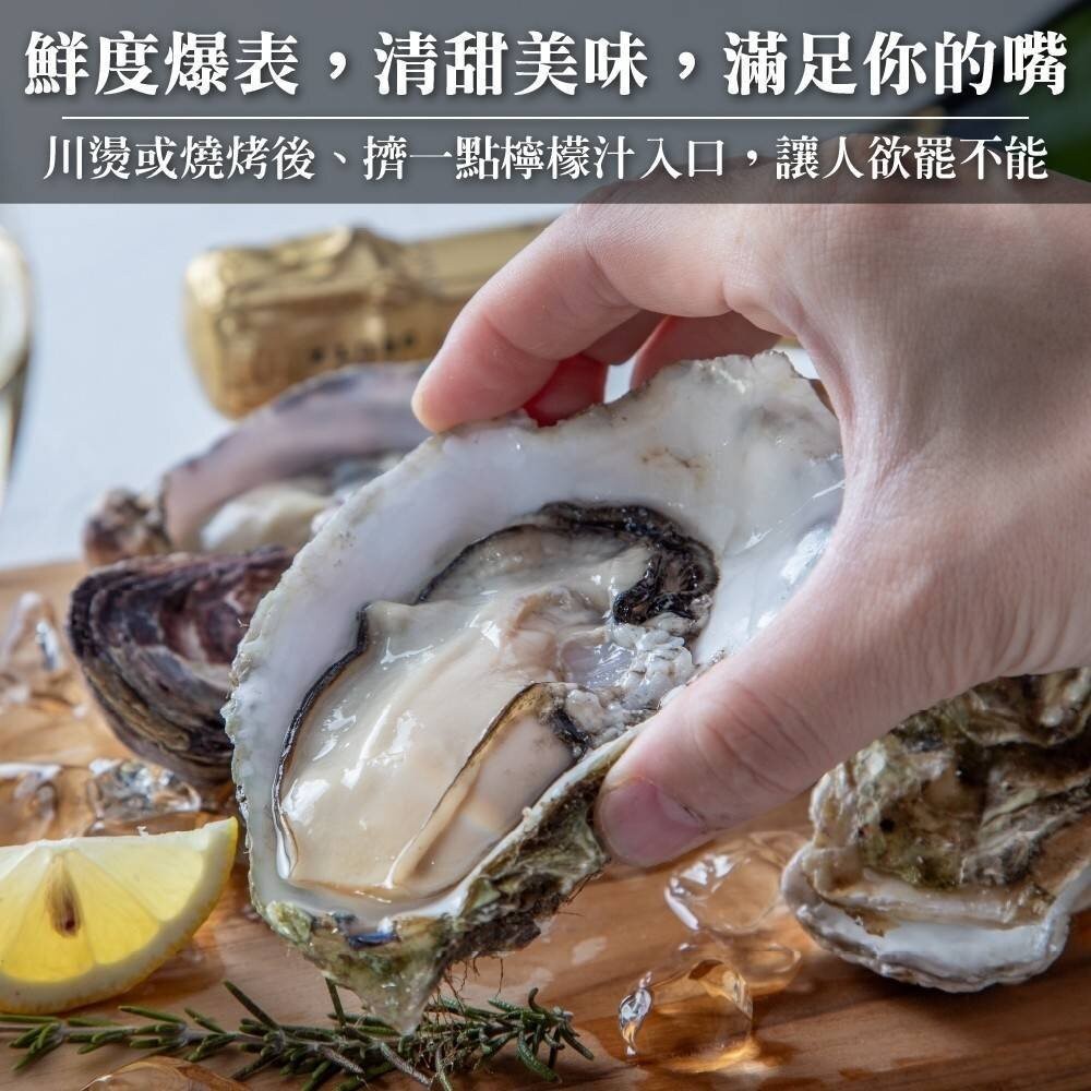 日本原裝全殼牡蠣2L號(每包5顆/約500g)【天天鮮配】滿額免運-細節圖5