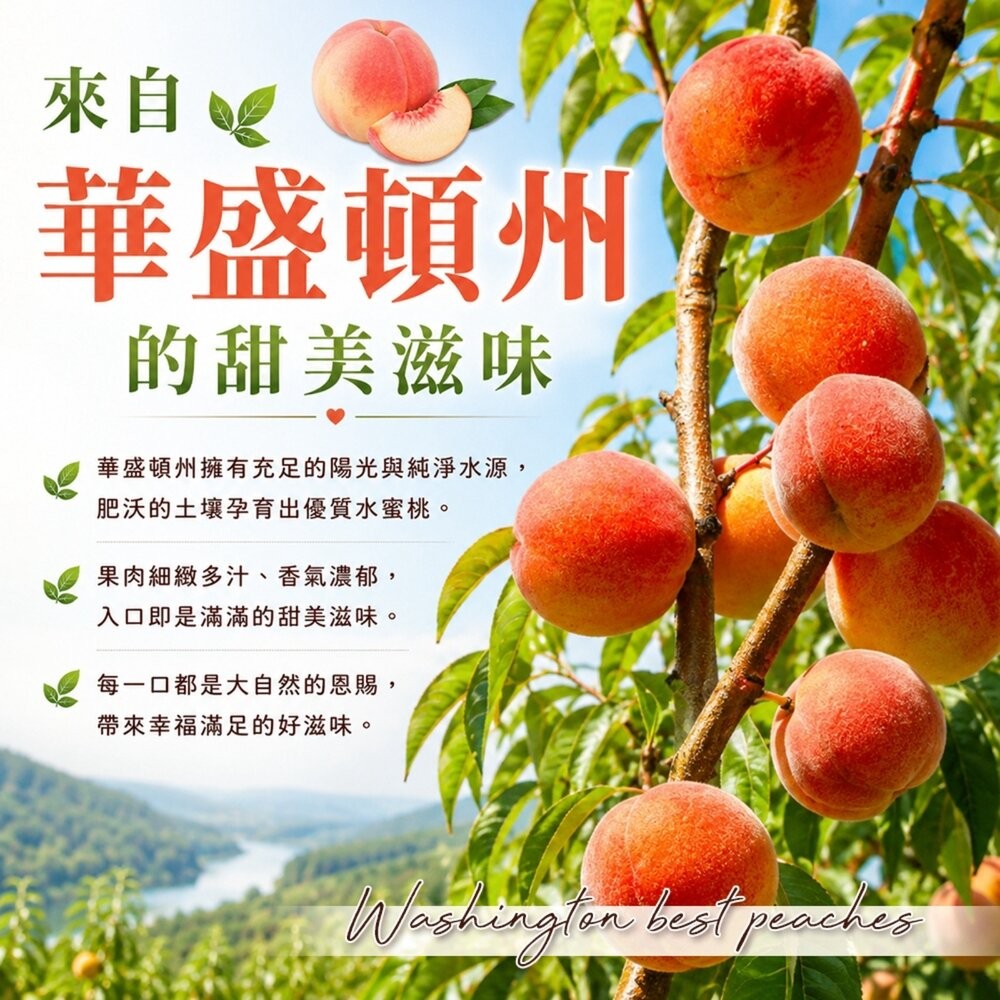 美國華盛頓水蜜桃 0運費【果之蔬】美國水蜜桃 華盛頓水蜜桃 進口水蜜桃 水蜜桃禮盒 原裝水蜜桃-細節圖3