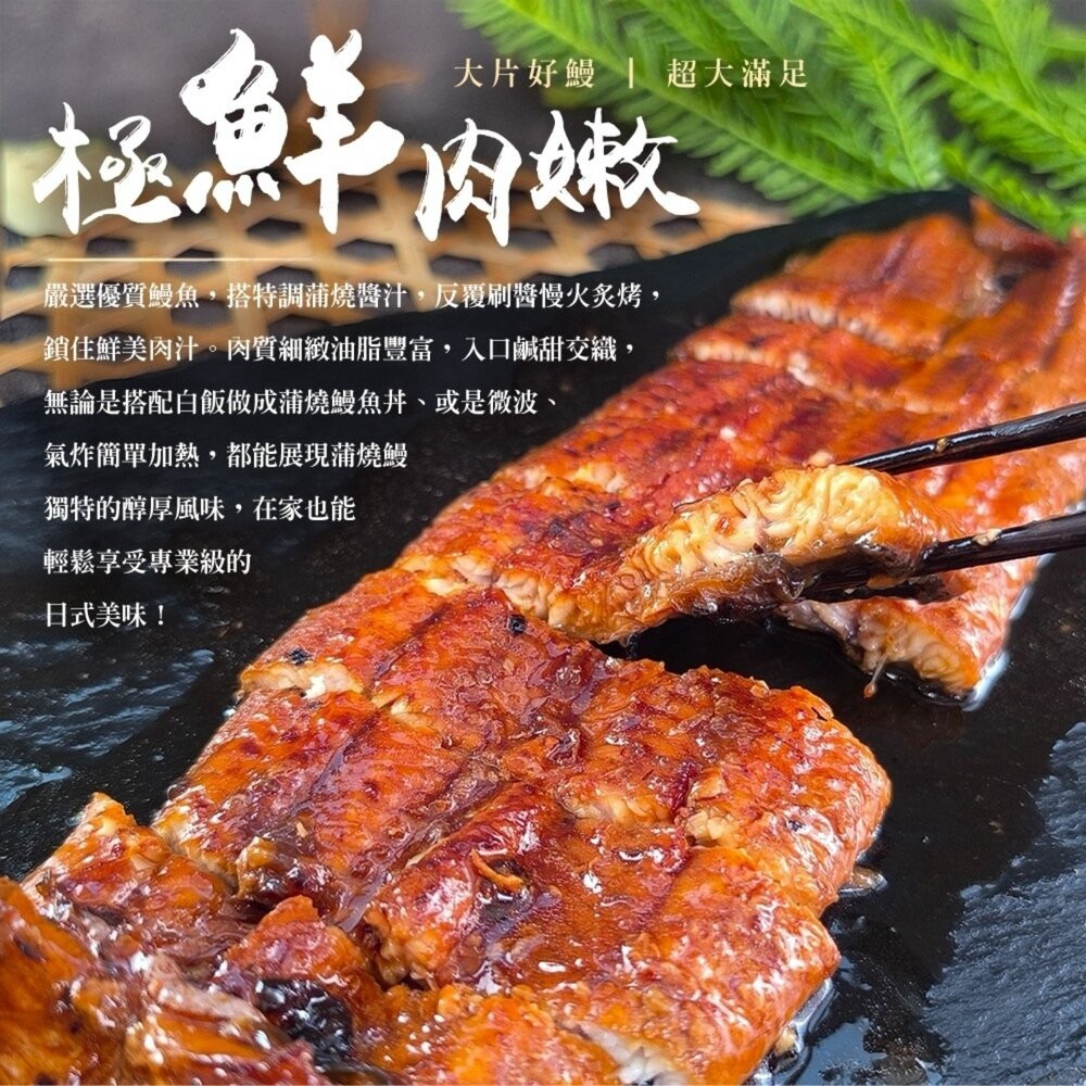 鰻魚大王-蒲燒鰻魚片【天天鮮配】滿額免運 鮮嫩肥美 無刺好料理 外銷日本 肉質細嫩 油脂香甜 冷凍海鮮食材-細節圖3