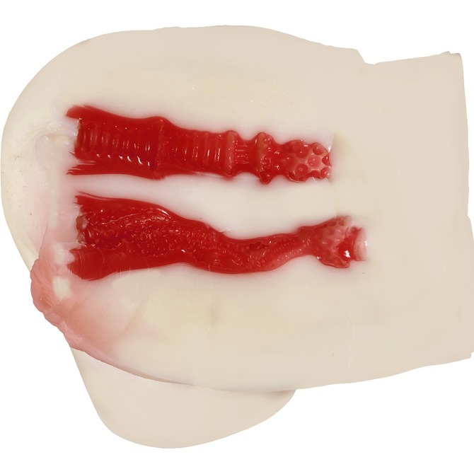 💎現貨💎日本原裝進口NPG 4代目ミ二極上生腰 橋本ありな完全雙穴再現名器 自慰套 飛機杯 雙穴名器 極上名器-細節圖6