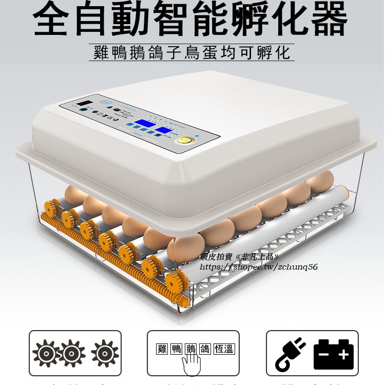 現貨免運 110V孵化機小型家用孵蛋器（帶溫度控制）智能雞鴨鵝鴿子孵化器 全自動小雞雞蛋孵化機 孵蛋器 孵化箱c413-細節圖2