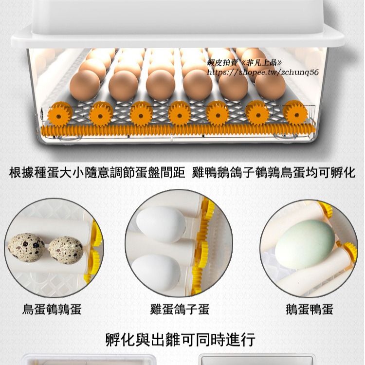 現貨免運 110V孵化機小型家用孵蛋器（帶溫度控制）智能雞鴨鵝鴿子孵化器 全自動小雞雞蛋孵化機 孵蛋器 孵化箱c413-細節圖3