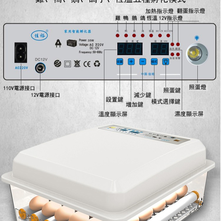 現貨免運 110V孵化機小型家用孵蛋器（帶溫度控制）智能雞鴨鵝鴿子孵化器 全自動小雞雞蛋孵化機 孵蛋器 孵化箱c413-細節圖4