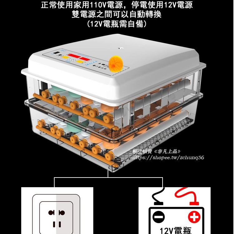 現貨免運 110V孵化機小型家用孵蛋器（帶溫度控制）智能雞鴨鵝鴿子孵化器 全自動小雞雞蛋孵化機 孵蛋器 孵化箱c413-細節圖5