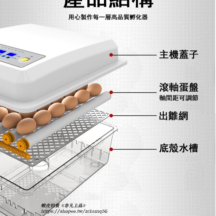 現貨免運 110V孵化機小型家用孵蛋器（帶溫度控制）智能雞鴨鵝鴿子孵化器 全自動小雞雞蛋孵化機 孵蛋器 孵化箱c413-細節圖6