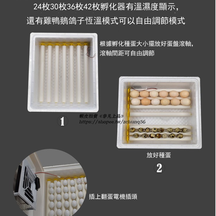 現貨免運 110V孵化機小型家用孵蛋器（帶溫度控制）智能雞鴨鵝鴿子孵化器 全自動小雞雞蛋孵化機 孵蛋器 孵化箱c413-細節圖8