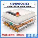 現貨免運 110V孵化機小型家用孵蛋器（帶溫度控制）智能雞鴨鵝鴿子孵化器 全自動小雞雞蛋孵化機 孵蛋器 孵化箱c413-規格圖9