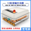 現貨免運 110V孵化機小型家用孵蛋器（帶溫度控制）智能雞鴨鵝鴿子孵化器 全自動小雞雞蛋孵化機 孵蛋器 孵化箱c413-規格圖9