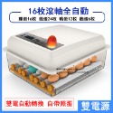 現貨免運 110V孵化機小型家用孵蛋器（帶溫度控制）智能雞鴨鵝鴿子孵化器 全自動小雞雞蛋孵化機 孵蛋器 孵化箱c413-規格圖9