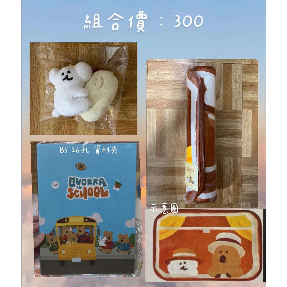 ZIN Dimoo盲盒+ 麻麻 組合價-細節圖4