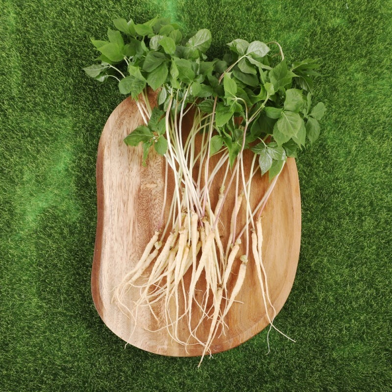 韓國新鮮人蔘 一年 蔘-細節圖3