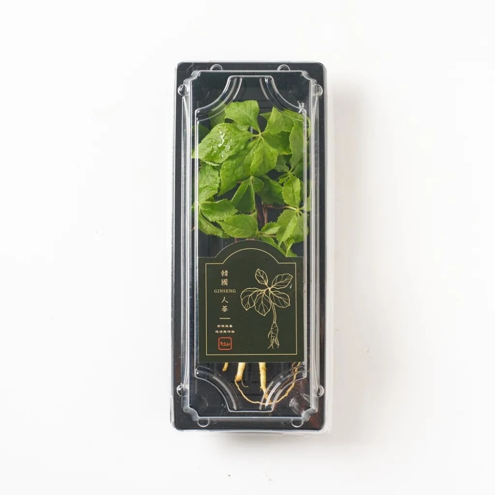 韓國新鮮人蔘 一年 蔘-細節圖4