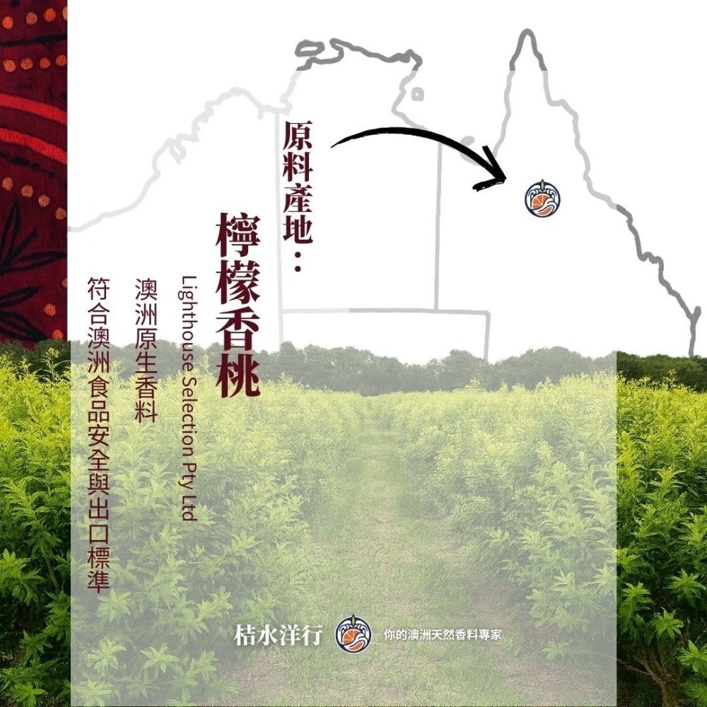 檸香紅玉紅茶-細節圖5