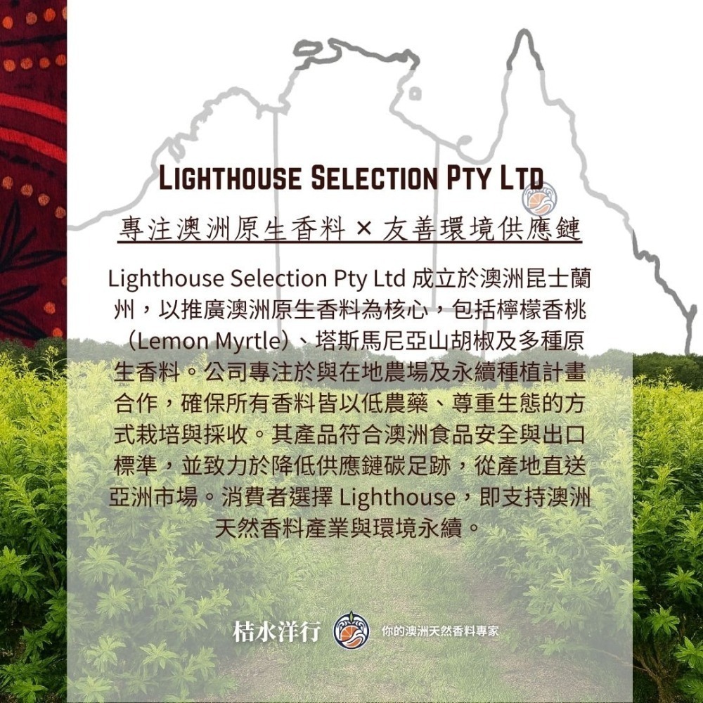 檸香紅玉紅茶-細節圖6