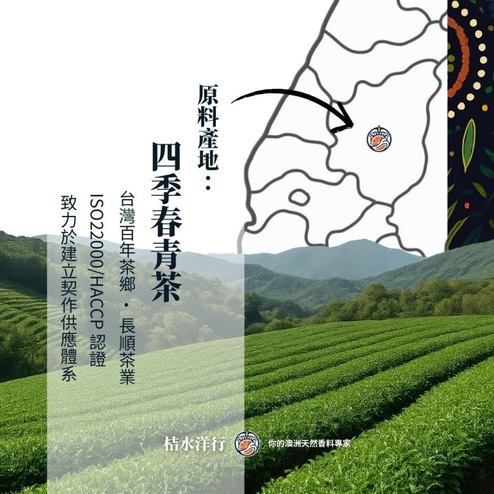 檸香綠松青茶-細節圖3