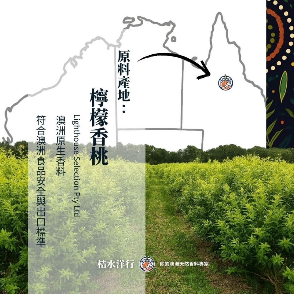 檸香綠松青茶-細節圖5