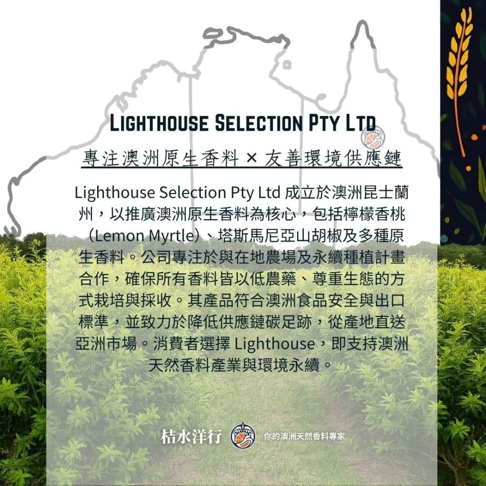 檸香綠松青茶-細節圖6