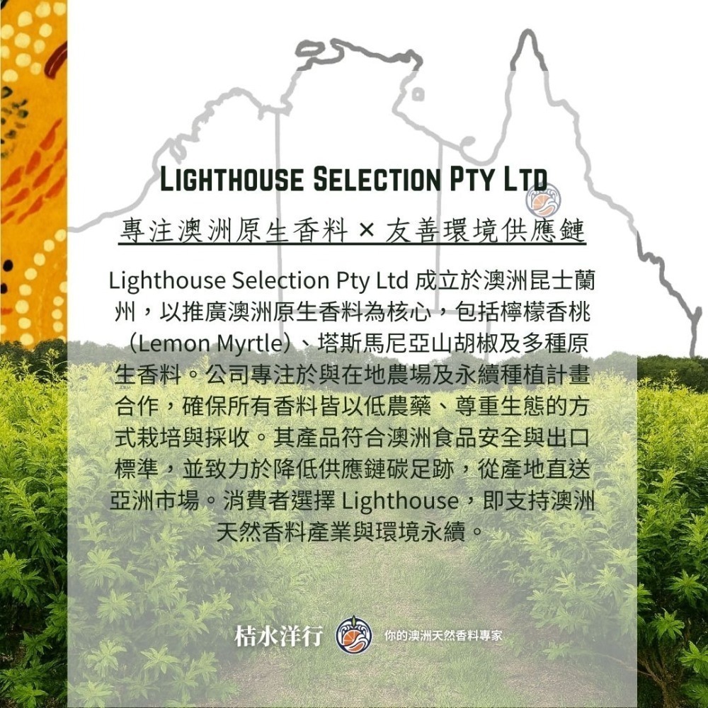 檸香黃玉米鬚茶-細節圖4