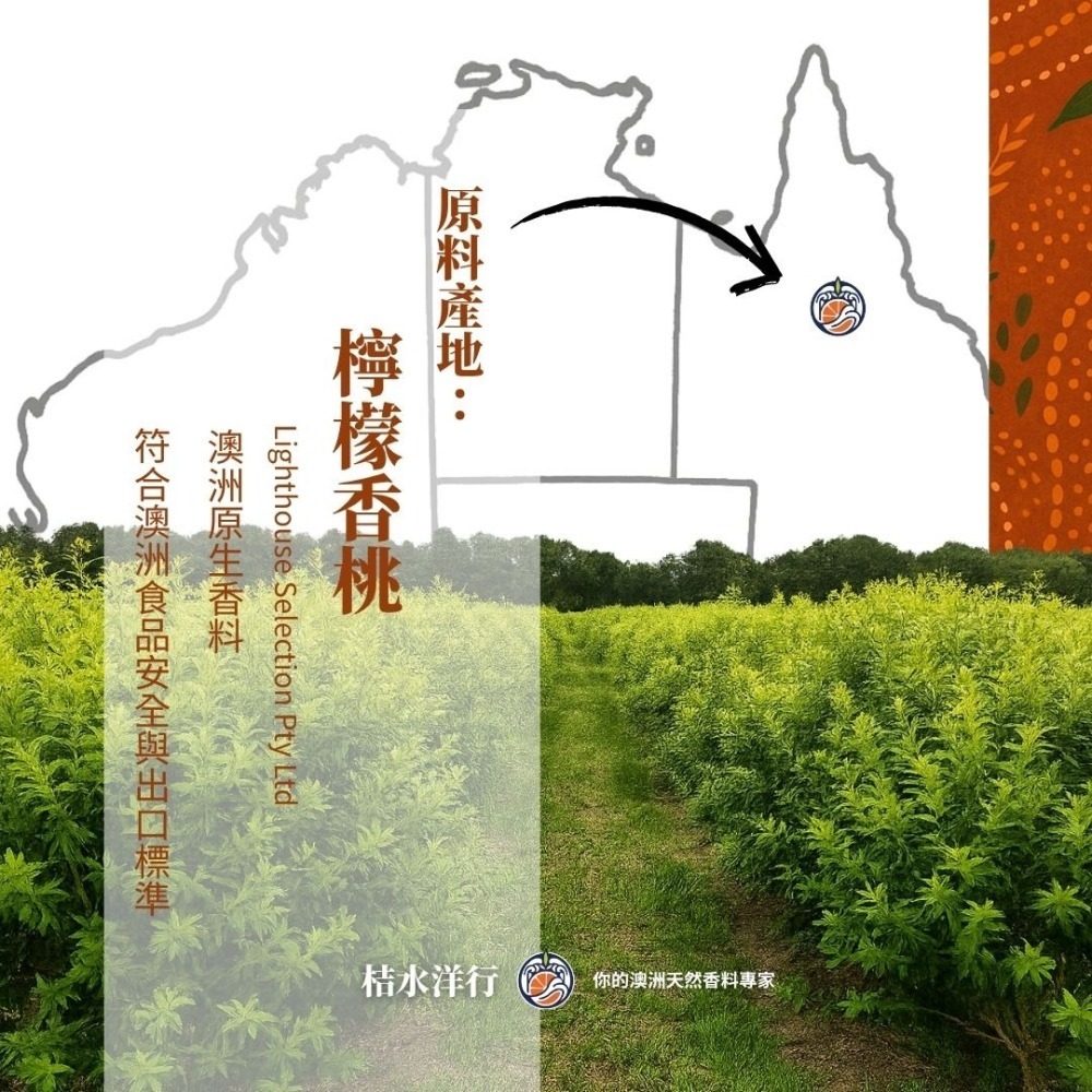 檸香琥珀麥茶-細節圖3