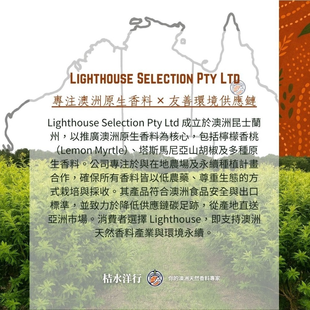 檸香琥珀麥茶-細節圖4