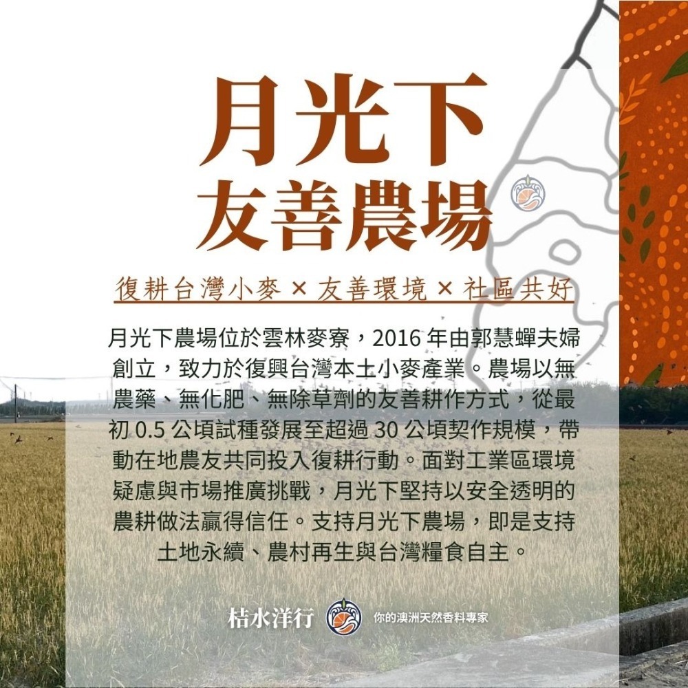 檸香琥珀麥茶-細節圖5