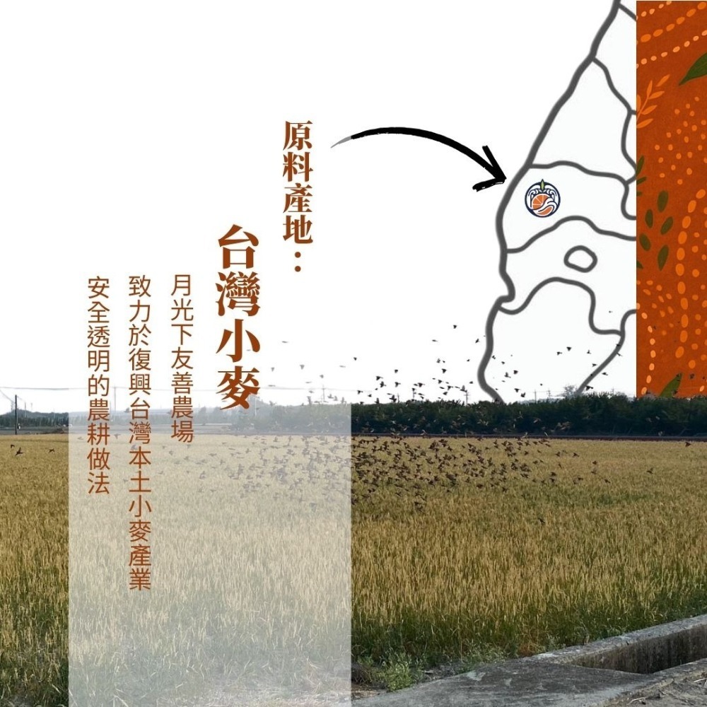 檸香琥珀麥茶-細節圖6