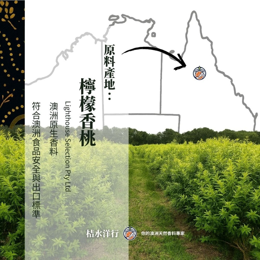 檸香黑瑪瑙玄米茶｜輕焙-細節圖3