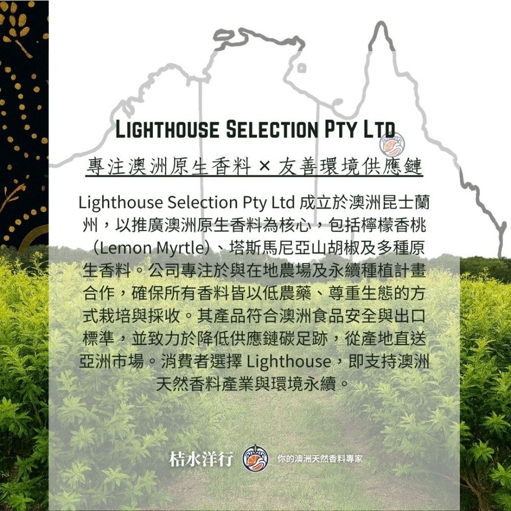 檸香黑瑪瑙玄米茶｜輕焙-細節圖4