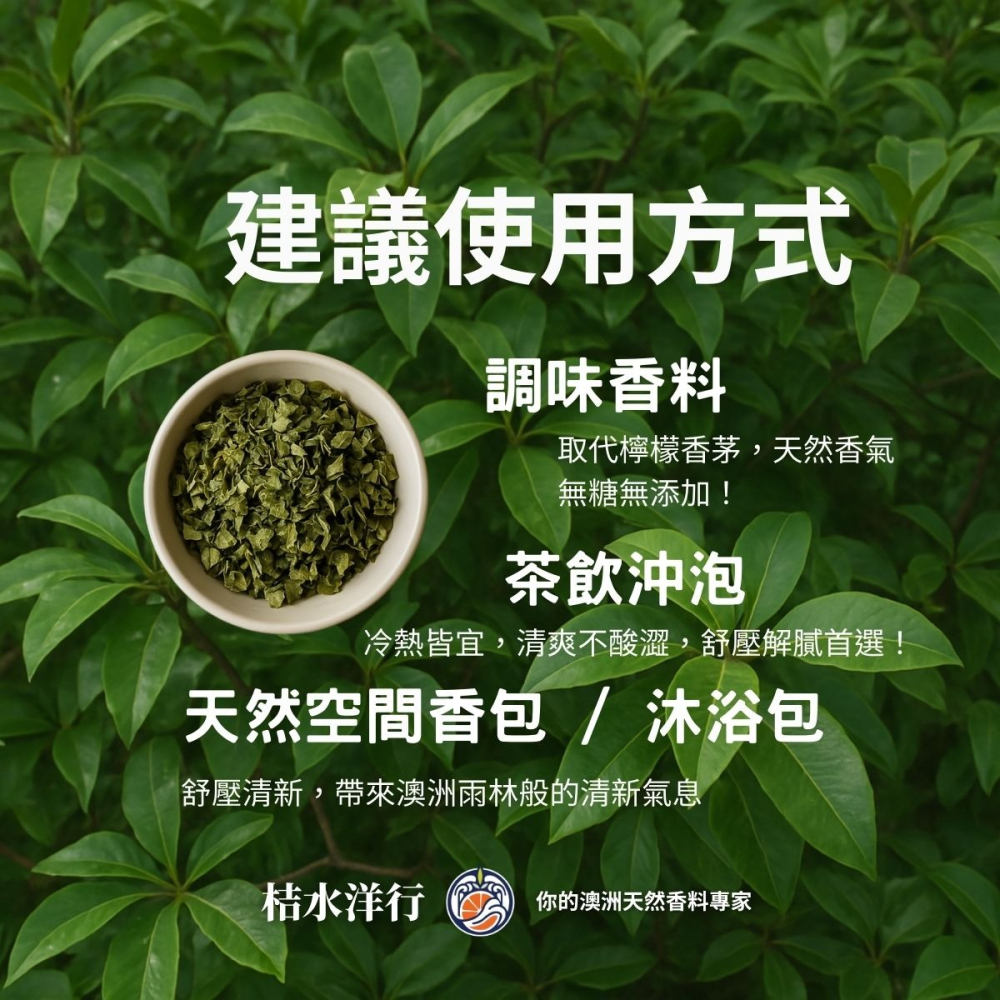 檸檬香桃 2 mm 原葉-細節圖2