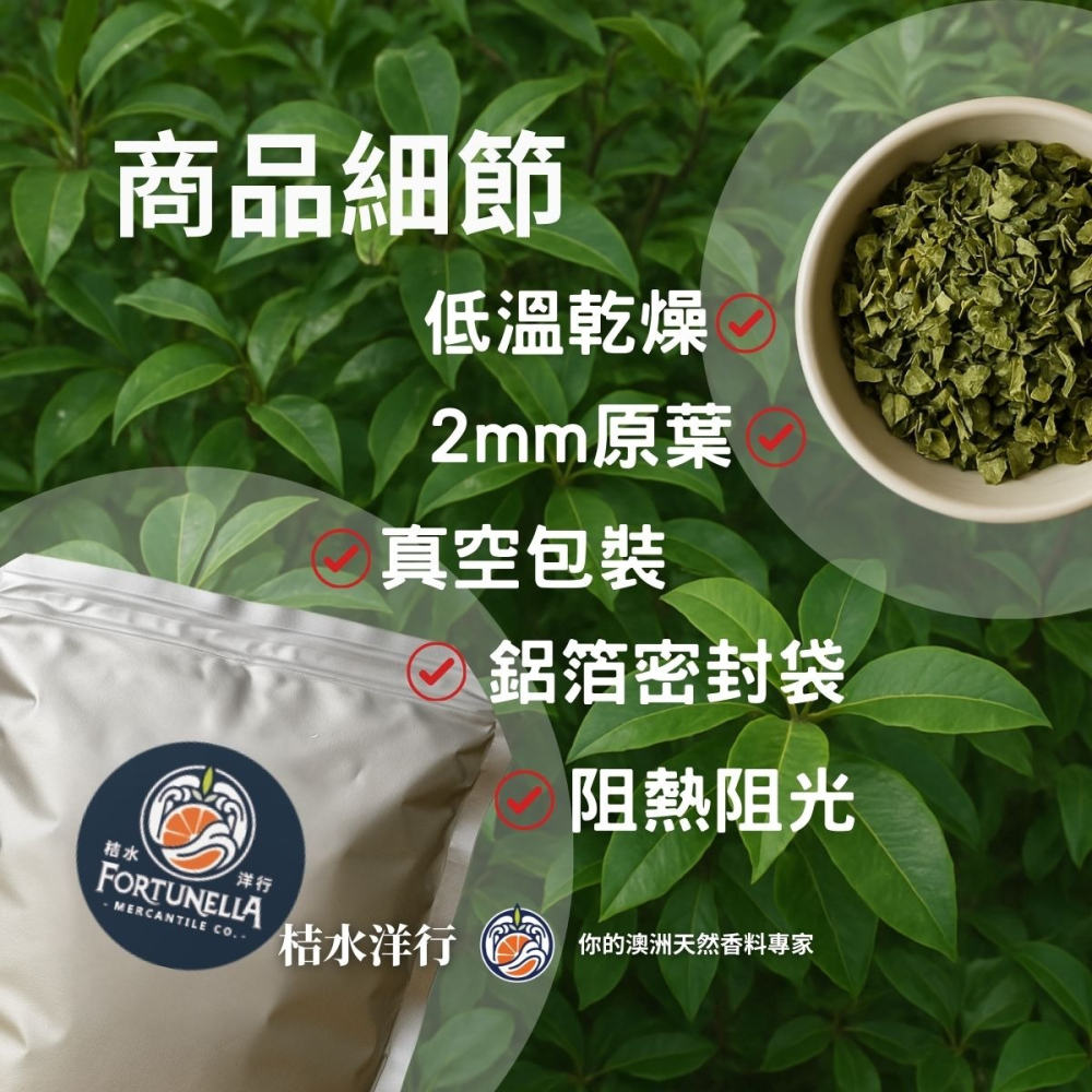 檸檬香桃 2 mm 原葉-細節圖3