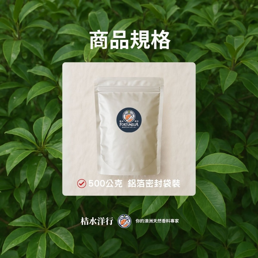 檸檬香桃 2 mm 原葉-規格圖5