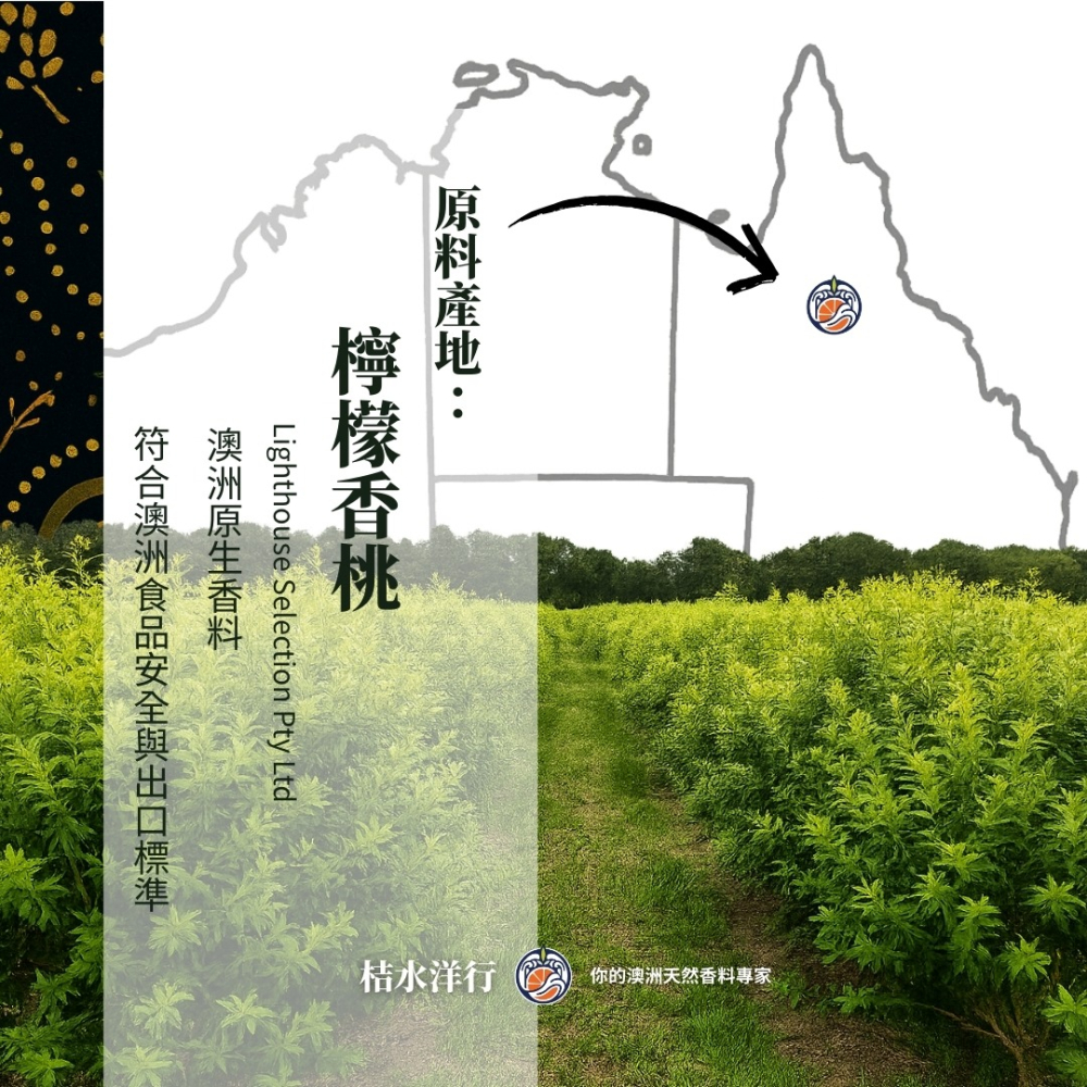 檸香黑瑪瑙玄米茶｜重焙-細節圖3