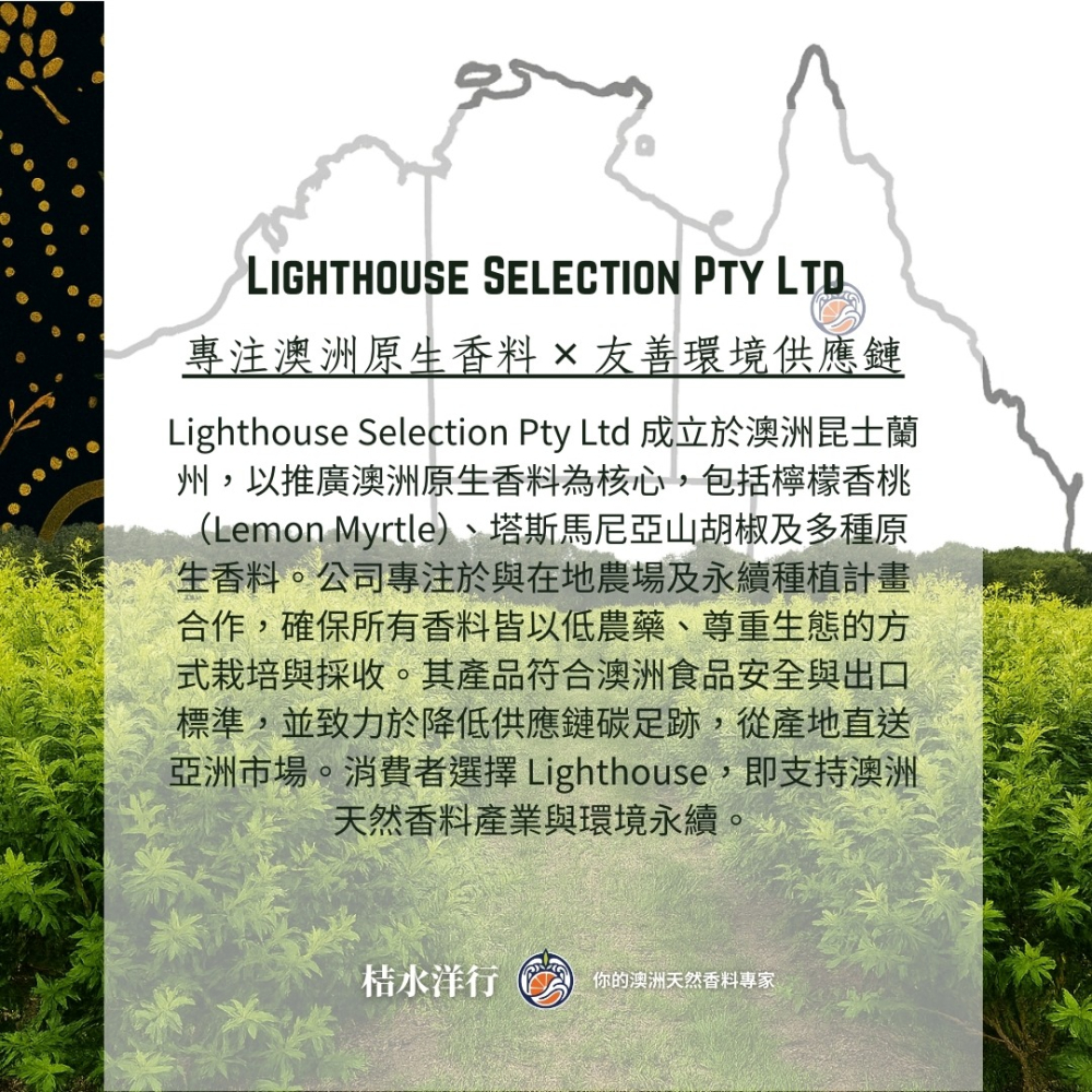 檸香黑瑪瑙玄米茶｜重焙-細節圖4