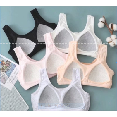 固定杯 學生內衣 女童小背心 少女 成長型 兒童內衣 透氣 發育期內衣M3H527-細節圖3