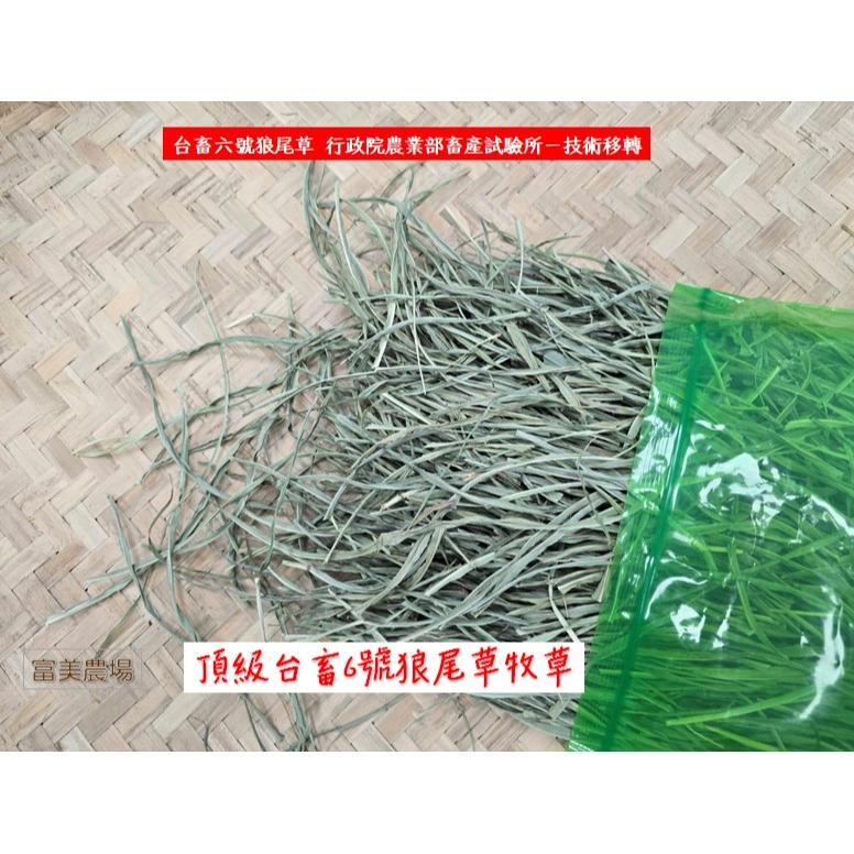 «台畜6號狼尾草»低溫烘焙乾草適合天竺鼠 兔子 烏龜 龍貓 倉鼠 水豚 松鼠 深受草食性動物喜愛 寵物牧草 乾草飼料-細節圖2