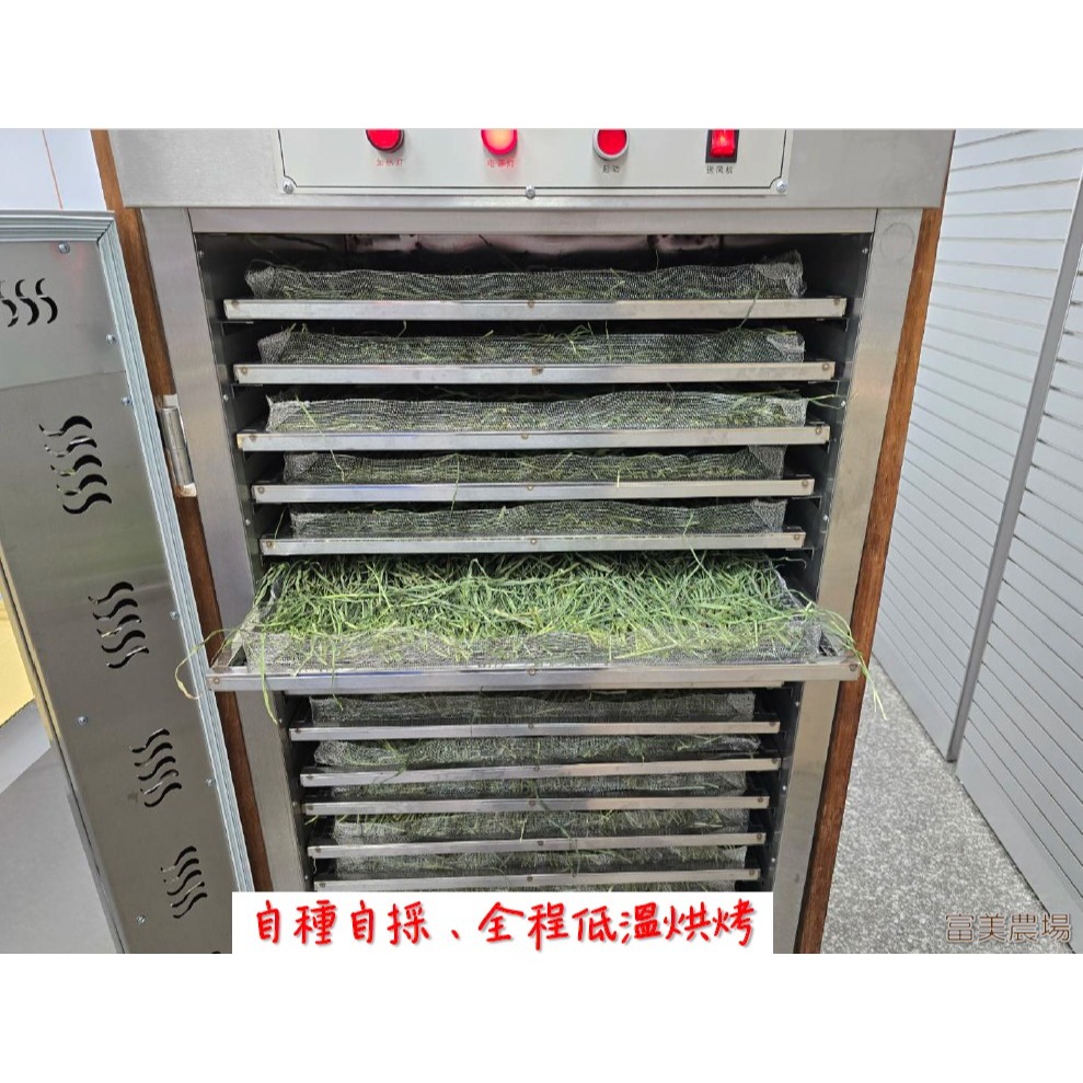 «台畜6號狼尾草»低溫烘焙乾草適合天竺鼠 兔子 烏龜 龍貓 倉鼠 水豚 松鼠 深受草食性動物喜愛 寵物牧草 乾草飼料-細節圖6