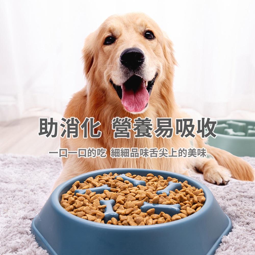 【艾來趣】寵物慢食防噎碗 貓狗通用 寵物碗 慢食碗 防噎碗 防吐碗 飼料碗 減肥碗 狗碗 貓碗 飼料防翻碗-細節圖3