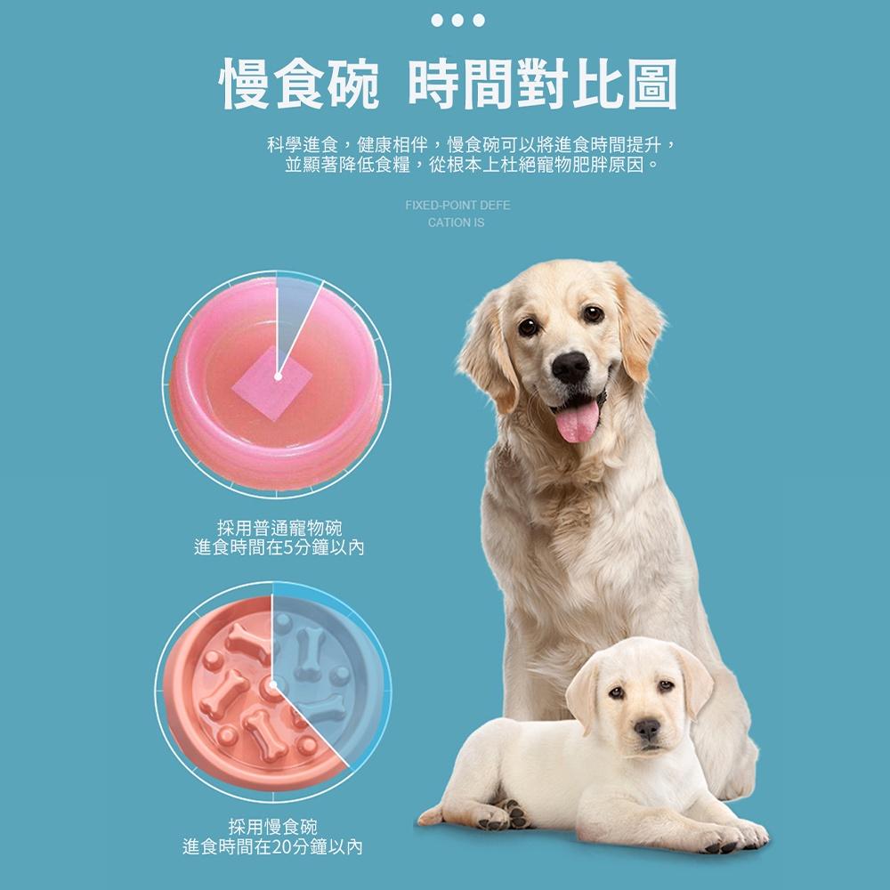 【艾來趣】寵物慢食防噎碗 貓狗通用 寵物碗 慢食碗 防噎碗 防吐碗 飼料碗 減肥碗 狗碗 貓碗 飼料防翻碗-細節圖4