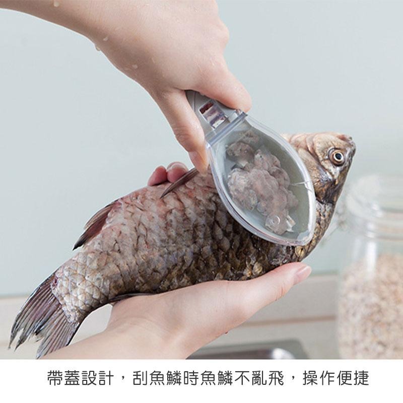魚形帶蓋刮魚鱗器 【60452】 刮魚鱗 不噴飛 魚鱗 刮魚鱗神器 帶蓋設計 刮魚鱗器具 刮魚鱗器-細節圖2