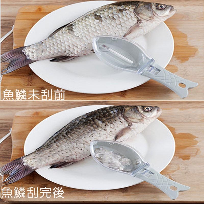 魚形帶蓋刮魚鱗器 【60452】 刮魚鱗 不噴飛 魚鱗 刮魚鱗神器 帶蓋設計 刮魚鱗器具 刮魚鱗器-細節圖4