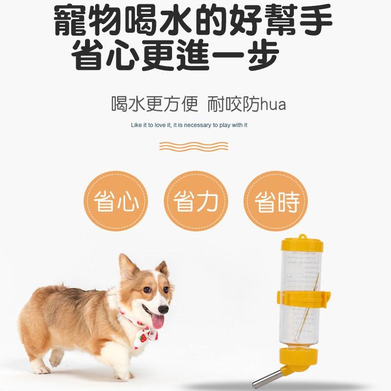 🐾 萌寵必備 🐾 寵物掛式水壺【60425】 黃金鼠水壺 兔子水壺 龍貓水壺 寵物水壺 小寵物水壺 水壺 寵物餵食-細節圖5