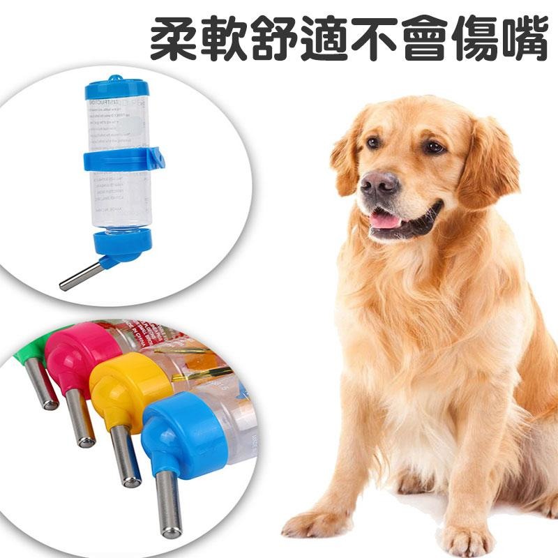 🐾 萌寵必備 🐾 寵物掛式水壺【60425】 黃金鼠水壺 兔子水壺 龍貓水壺 寵物水壺 小寵物水壺 水壺 寵物餵食-細節圖6