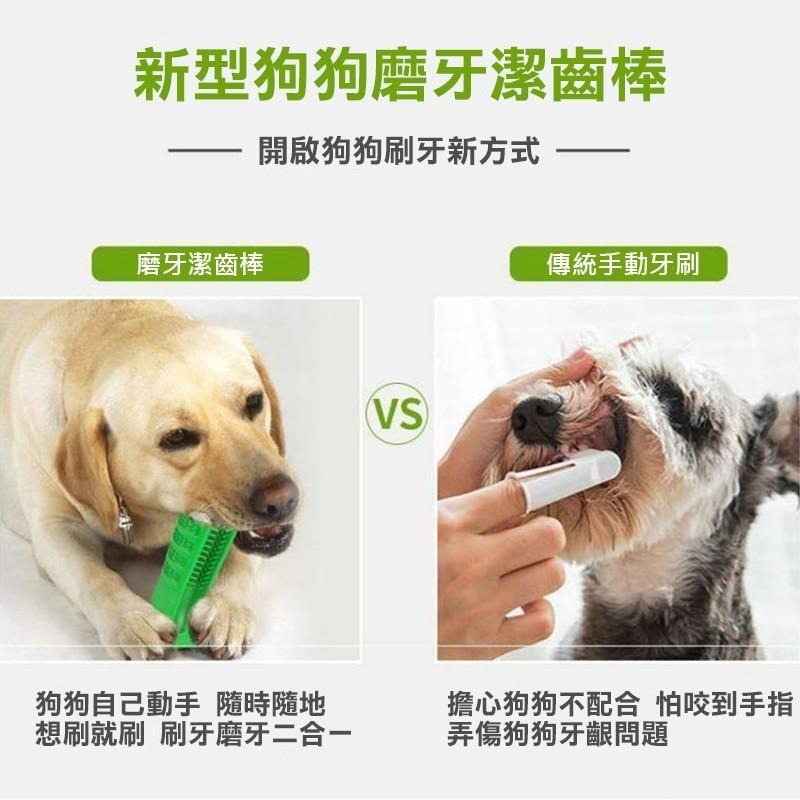 寵物直立潔牙棒 潔牙棒 磨牙棒 寵物潔牙 狗狗牙刷 寵物清潔 寵物 寵物牙刷 牙齒清潔 寵物清潔 潔牙骨【00620】-細節圖3