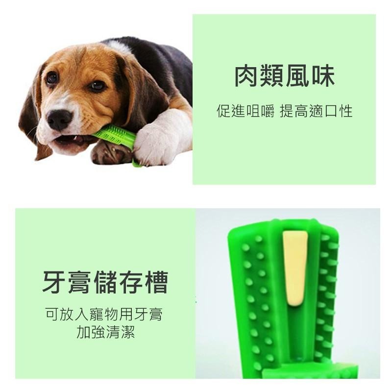寵物直立潔牙棒 潔牙棒 磨牙棒 寵物潔牙 狗狗牙刷 寵物清潔 寵物 寵物牙刷 牙齒清潔 寵物清潔 潔牙骨【00620】-細節圖7