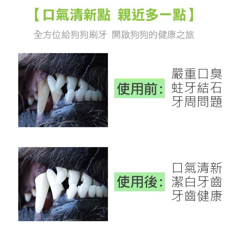 寵物直立潔牙棒 潔牙棒 磨牙棒 寵物潔牙 狗狗牙刷 寵物清潔 寵物 寵物牙刷 牙齒清潔 寵物清潔 潔牙骨【00620】-細節圖8