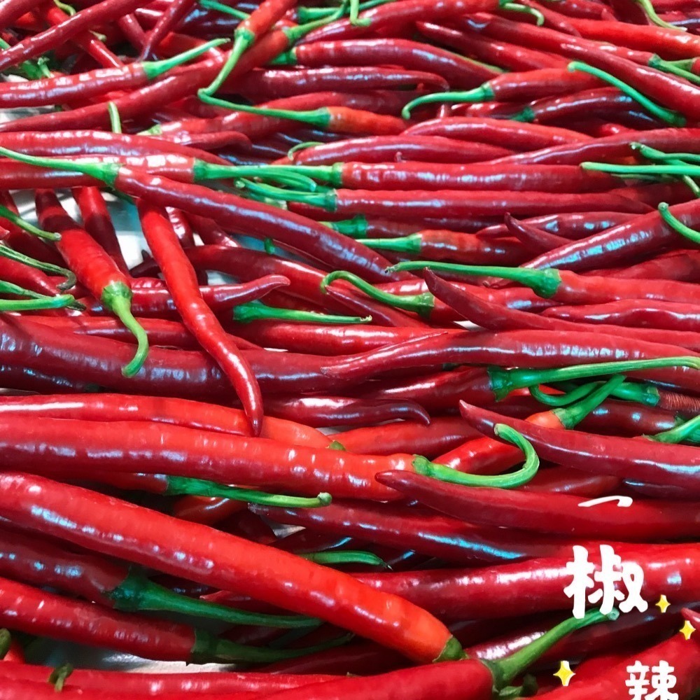 ［椒辣匠］純手作 辣炒菜脯-細節圖2