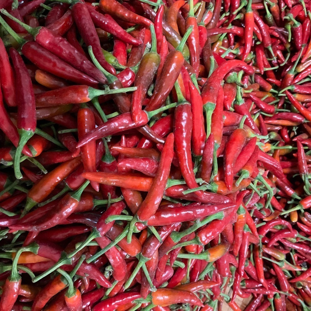 「椒辣匠」純手作 小魚辣椒醬-細節圖5