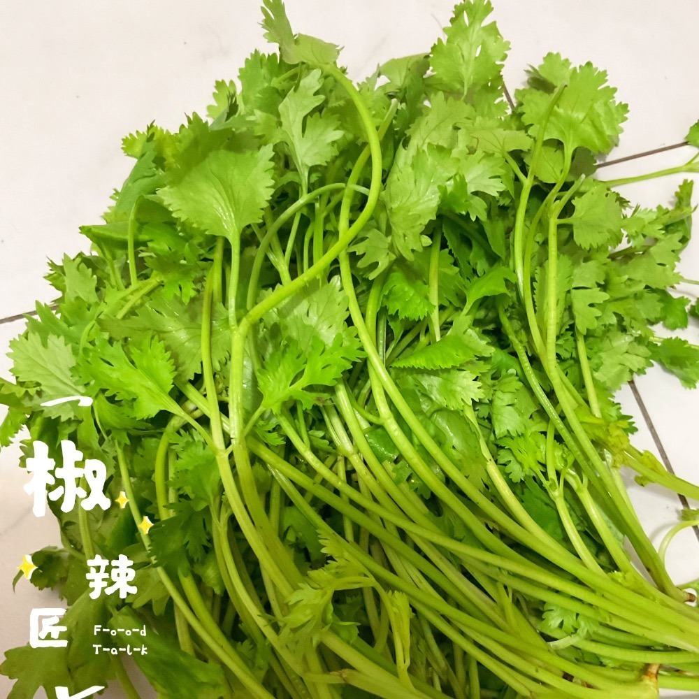 「椒辣匠」辣椒醬 沾醬(香菜入醬料醃製後變色屬正常現象，可放心食用）-細節圖4