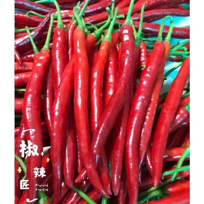 「椒辣匠」辣椒醬 沾醬(香菜入醬料醃製後變色屬正常現象，可放心食用）-細節圖6