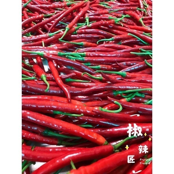 「椒辣匠」辣椒醬 沾醬(香菜入醬料醃製後變色屬正常現象，可放心食用）-細節圖7